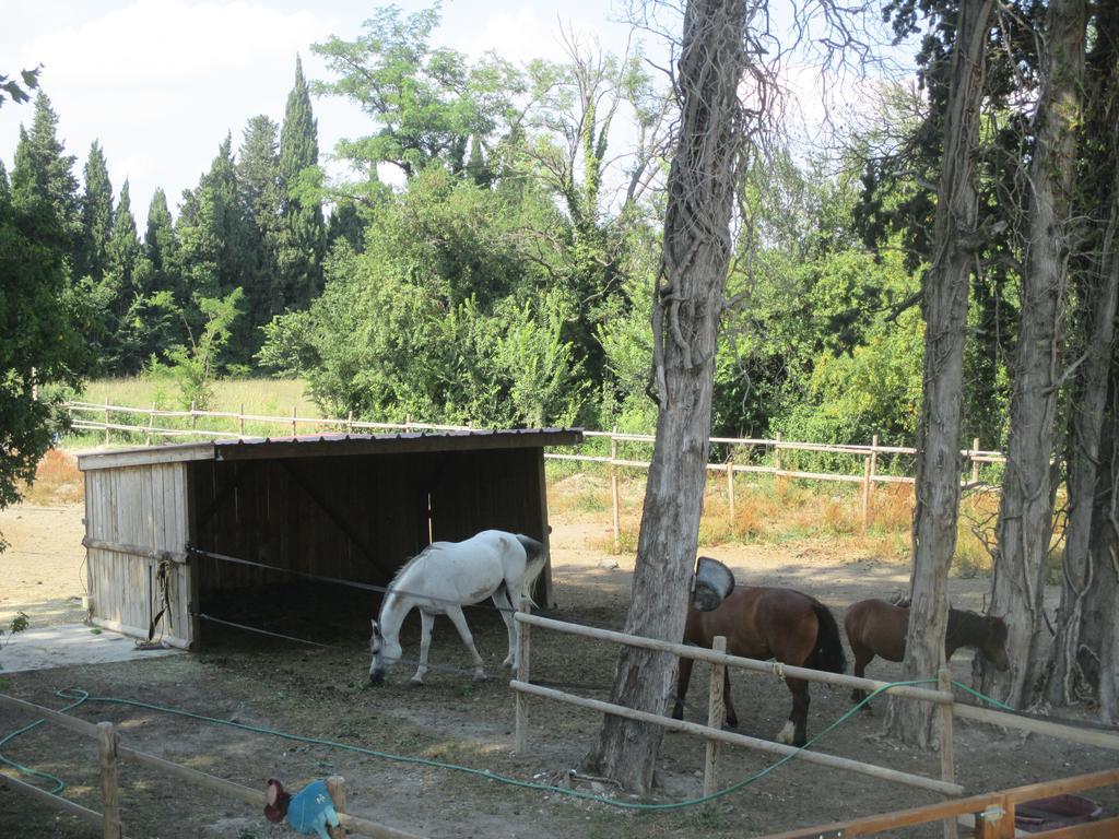 Mas Le Nathakassou Villa Cabannes Dış mekan fotoğraf