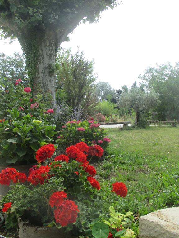 Mas Le Nathakassou Villa Cabannes Dış mekan fotoğraf